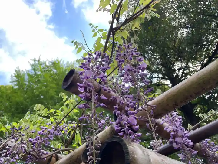 佐野原神社(静岡県)