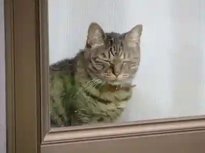 光禅寺(富山県)