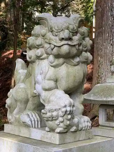 須山浅間神社の狛犬