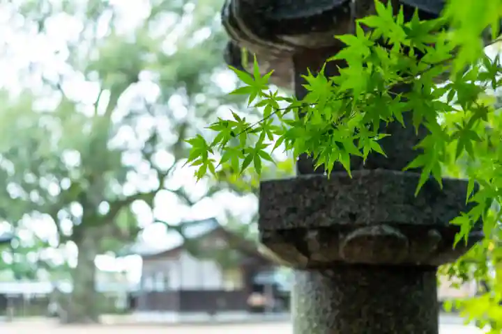 玉祖神社(山口県)