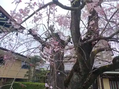 天暁山　一行院(東京都)