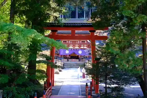 丹生都比売神社の鳥居