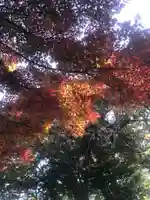 勝手神社の自然