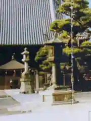 葛井寺(大阪府)