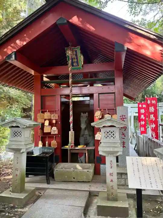 大杉神社(茨城県)