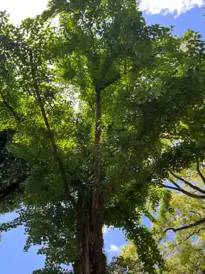 那古野神社(愛知県)
