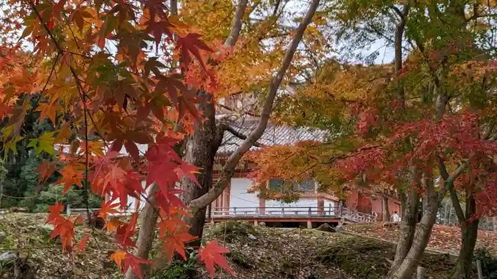 醍醐寺(京都府)