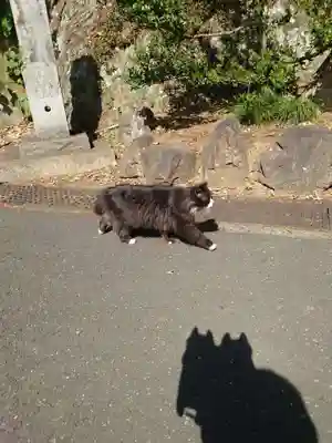 唐澤山神社(栃木県)