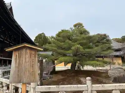 くろ谷 金戒光明寺(京都府)