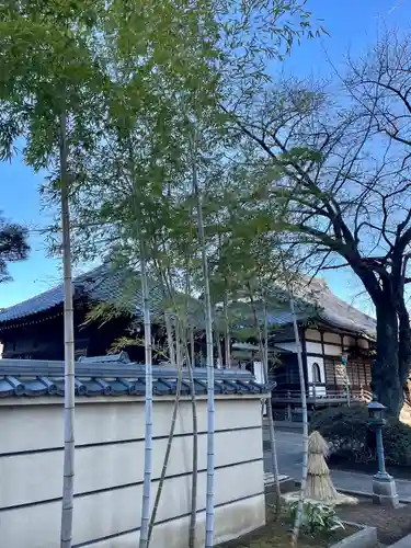 無量寺(東京都)