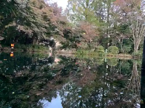 富士山本宮浅間大社の庭園