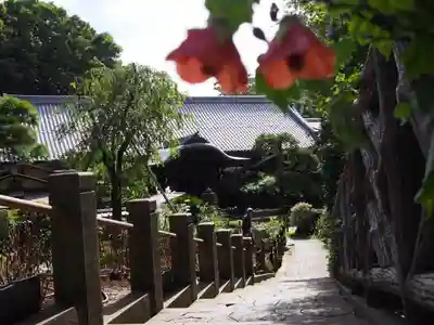 東長谷寺　薬王院のその他建物