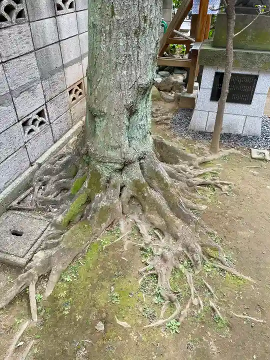 石井神社の{uncategorized: "未分類", other: "その他", undefined: "問題あり", building: "その他建物", grave: "お墓", sacred_gate: "鳥居", guardian: "狛犬", statue: "像", buddha: "仏像", history: "歴史", nature: "自然", garden: "庭園", animal: "動物", pagoda: "塔", temizu: "手水舎", mountain_gate: "山門・神門", sanctuary: "本殿・本堂", subordinate: "末社・摂社", art: "芸術", scenery: "景色", jizo: "地蔵", ema: "絵馬", goshuin: "御朱印", omikuji: "おみくじ", items: "授与品その他", amulet: "お守り", goshuincho: "御朱印帳", eats: "食事", festival: "お祭り", votive_dance: "神楽", shichigosan: "七五三参", wedding: "結婚式", experience: "体験その他", initially: "初詣", around: "周辺", anti_infection: "感染症対策"}