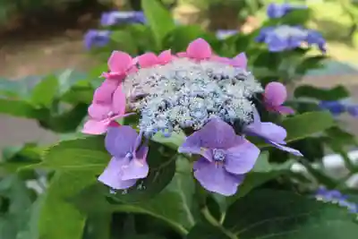 性海寺(愛知県)