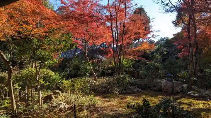 来迎院(京都府)