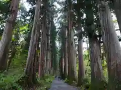 戸隠神社九頭龍社の自然