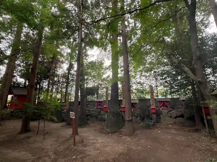 渋川八幡宮(群馬県)