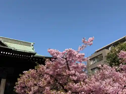 桜神宮(東京都)