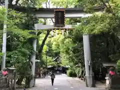 若宮八幡宮(高知県)