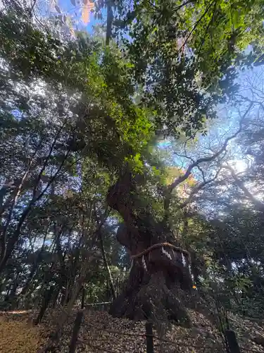 熱田神宮(愛知県)
