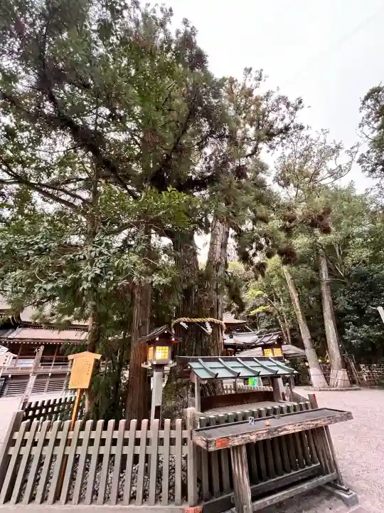 大神神社の{uncategorized: "未分類", other: "その他", undefined: "問題あり", building: "その他建物", grave: "お墓", sacred_gate: "鳥居", guardian: "狛犬", statue: "像", buddha: "仏像", history: "歴史", nature: "自然", garden: "庭園", animal: "動物", pagoda: "塔", temizu: "手水舎", mountain_gate: "山門・神門", sanctuary: "本殿・本堂", subordinate: "末社・摂社", art: "芸術", scenery: "景色", jizo: "地蔵", ema: "絵馬", goshuin: "御朱印", omikuji: "おみくじ", items: "授与品その他", amulet: "お守り", goshuincho: "御朱印帳", eats: "食事", festival: "お祭り", votive_dance: "神楽", shichigosan: "七五三参", wedding: "結婚式", experience: "体験その他", initially: "初詣", around: "周辺", anti_infection: "感染症対策"}