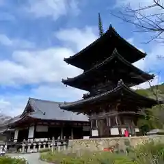 南法華寺（壷阪寺）(奈良県)