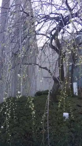 北谷稲荷神社の庭園