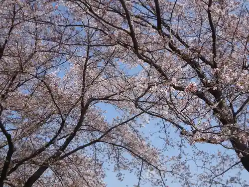 かっぱの寺 栖足寺の自然