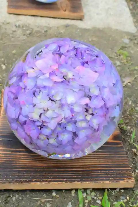 般若寺 ❁コスモス寺❁(奈良県)