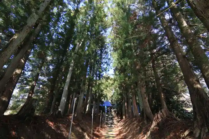 高木神社の自然