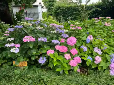 酒見神社(愛知県)