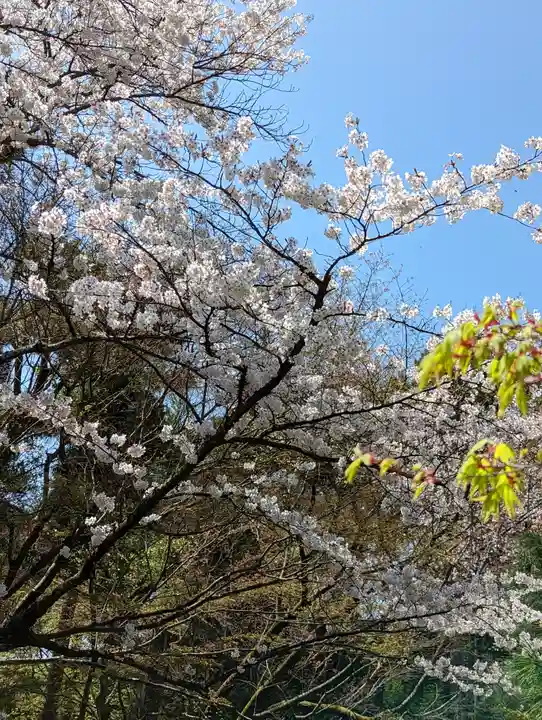 龍安寺(京都府)