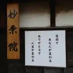 四季桜の寺 妙乗院(愛知県)