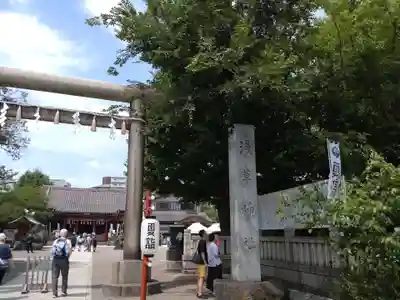 浅草神社の鳥居