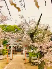 女化神社の鳥居