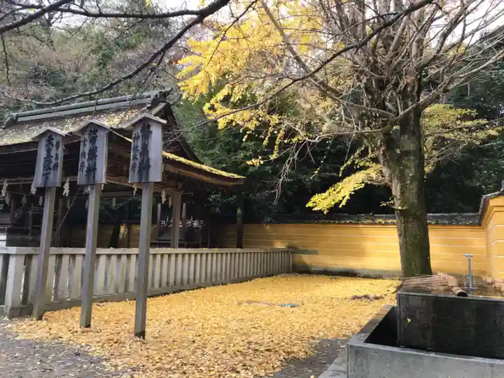 金刀比羅宮の自然