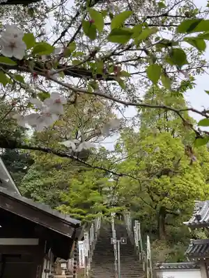 八事山 興正寺(愛知県)