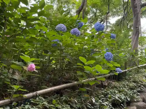 頼光寺(兵庫県)