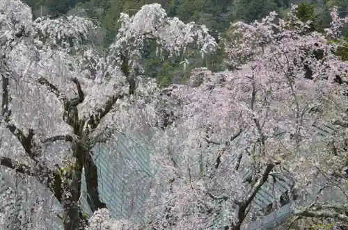 久遠寺(山梨県)
