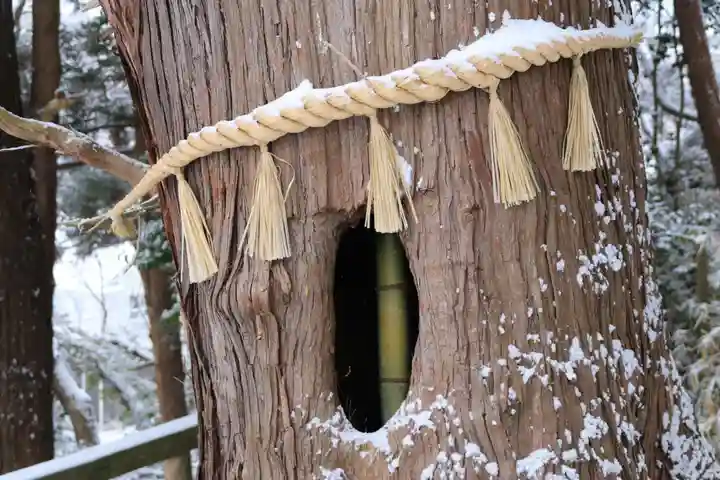 阿久津「田村神社」(郡山市阿久津町)旧社名:伊豆箱根三嶋三社の自然