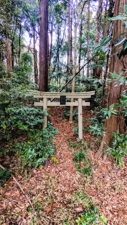 天神宮(島田台)の鳥居