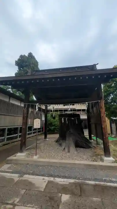 須賀神社の{uncategorized: "未分類", other: "その他", undefined: "問題あり", building: "その他建物", grave: "お墓", sacred_gate: "鳥居", guardian: "狛犬", statue: "像", buddha: "仏像", history: "歴史", nature: "自然", garden: "庭園", animal: "動物", pagoda: "塔", temizu: "手水舎", mountain_gate: "山門・神門", sanctuary: "本殿・本堂", subordinate: "末社・摂社", art: "芸術", scenery: "景色", jizo: "地蔵", ema: "絵馬", goshuin: "御朱印", omikuji: "おみくじ", items: "授与品その他", amulet: "お守り", goshuincho: "御朱印帳", eats: "食事", festival: "お祭り", votive_dance: "神楽", shichigosan: "七五三参", wedding: "結婚式", experience: "体験その他", initially: "初詣", around: "周辺", anti_infection: "感染症対策"}