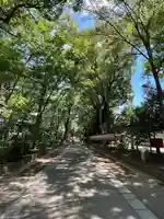 武蔵一宮氷川神社(埼玉県)