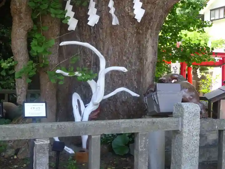 海南神社の自然