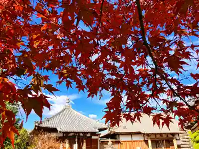 真言宗　善通寺派　薬王寺(香川県)