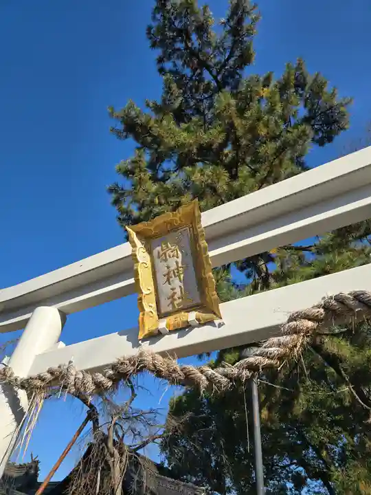 縣神社(京都府)