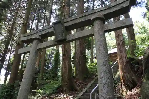 津島神社の鳥居