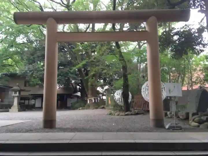 乃木神社の鳥居