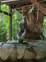 賀茂御祖神社(下鴨神社)の手水舎