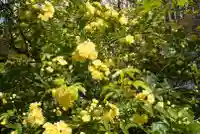 三輪神社の自然